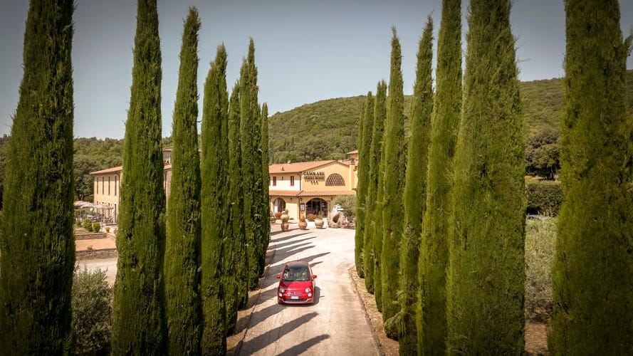 Tree-lined entrance avenue of Casolare Terre Rosse