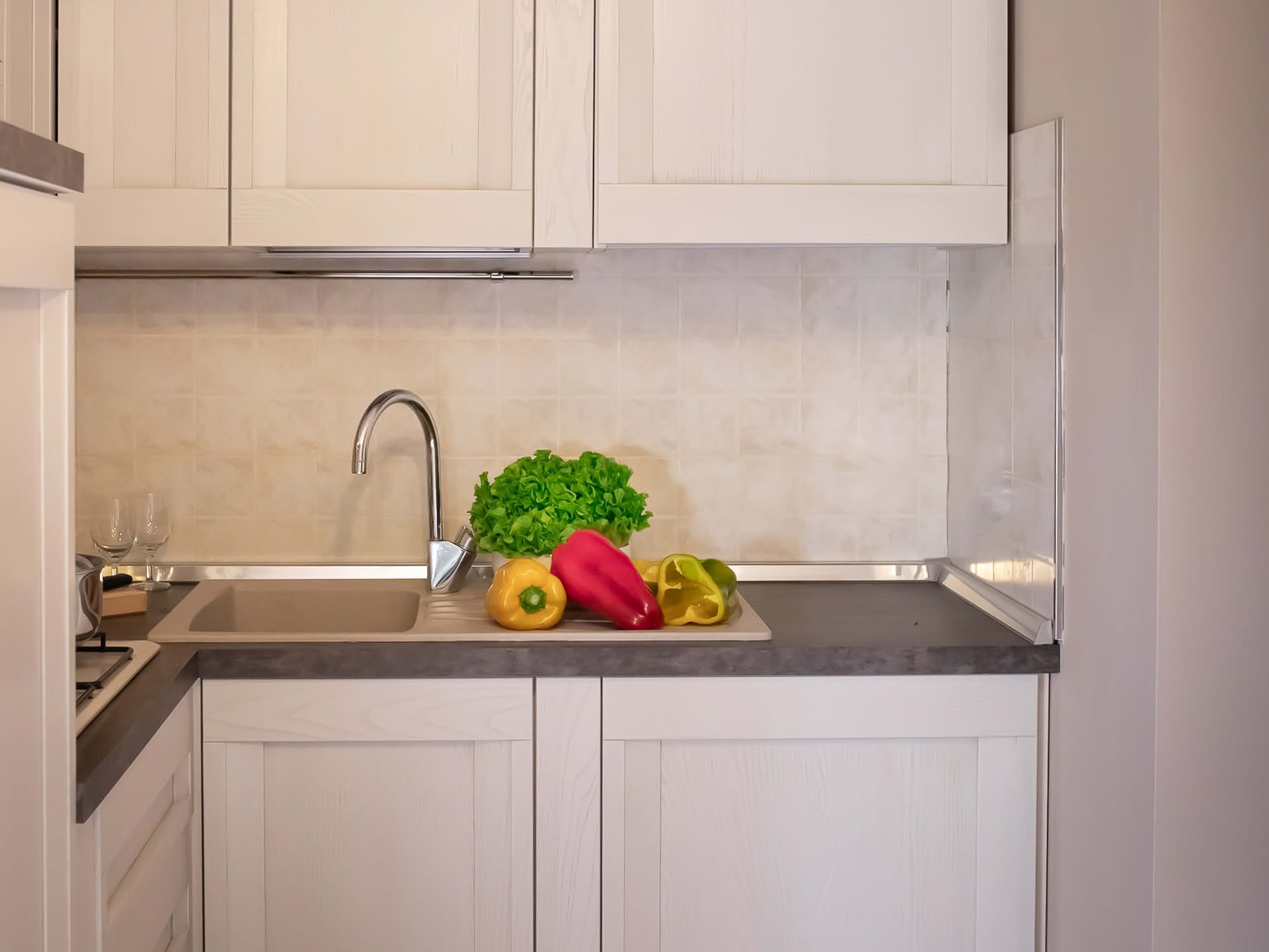 Equipped kitchen in the Olivo Apartment