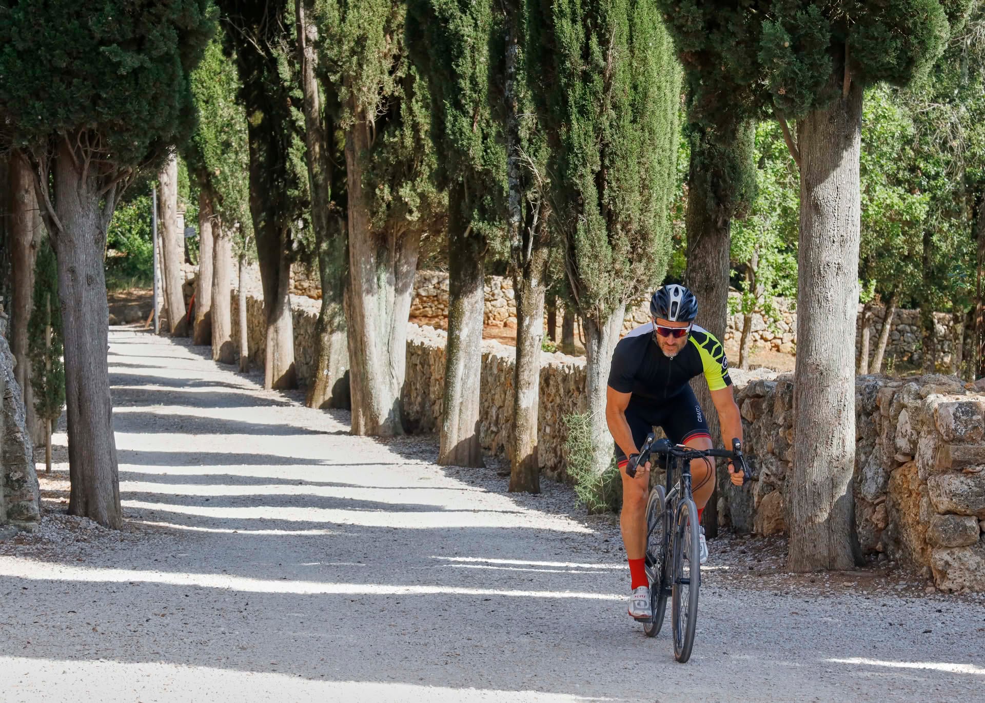 Image - a0467d82-cc45-486e-8c30-f56816b555e3